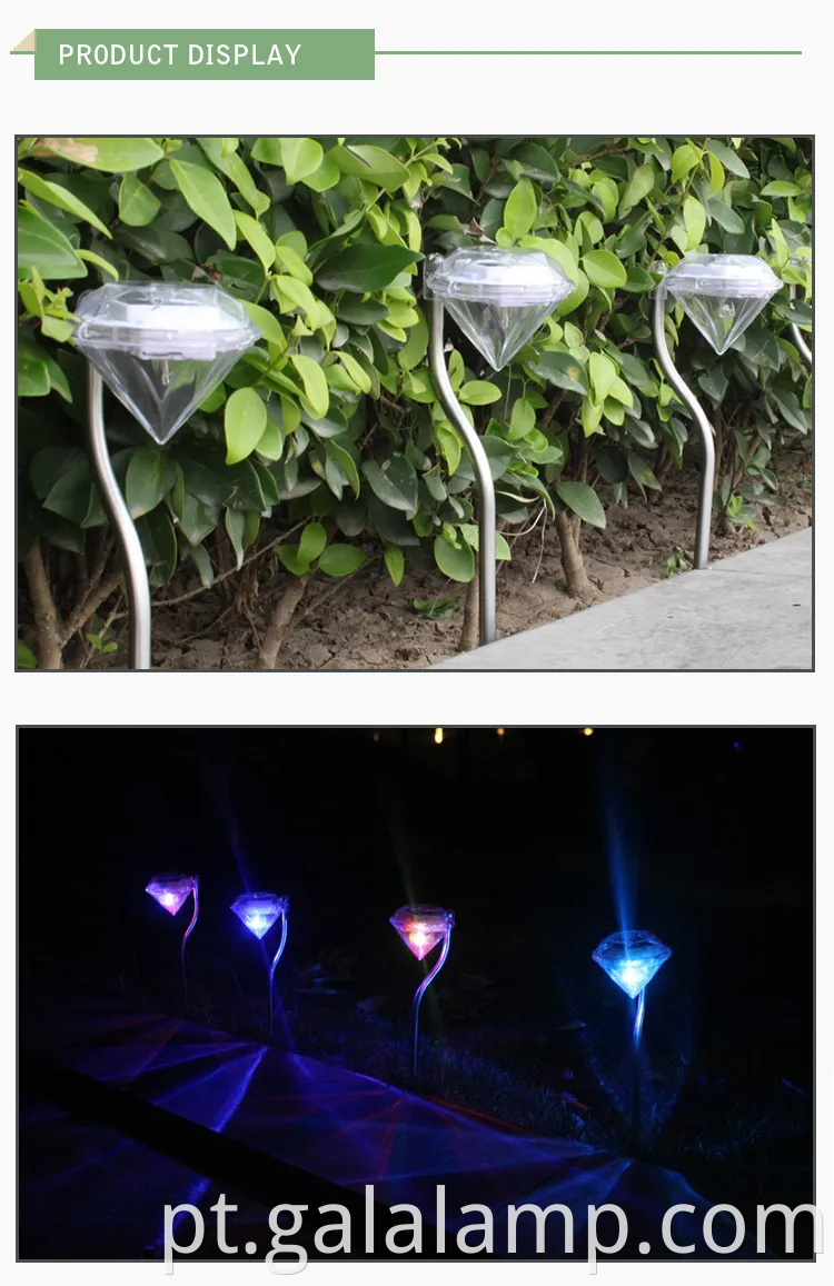 Luzes LED à prova d'água movidas a energia solar vibrantes para decoração de jardim